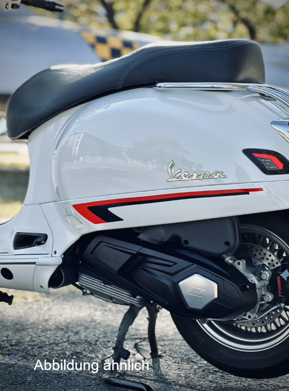 Afdekking voor vario-deksel ZELIONI voor Vespa GTS/GTS Super/GTV HPE 300cc, titanium